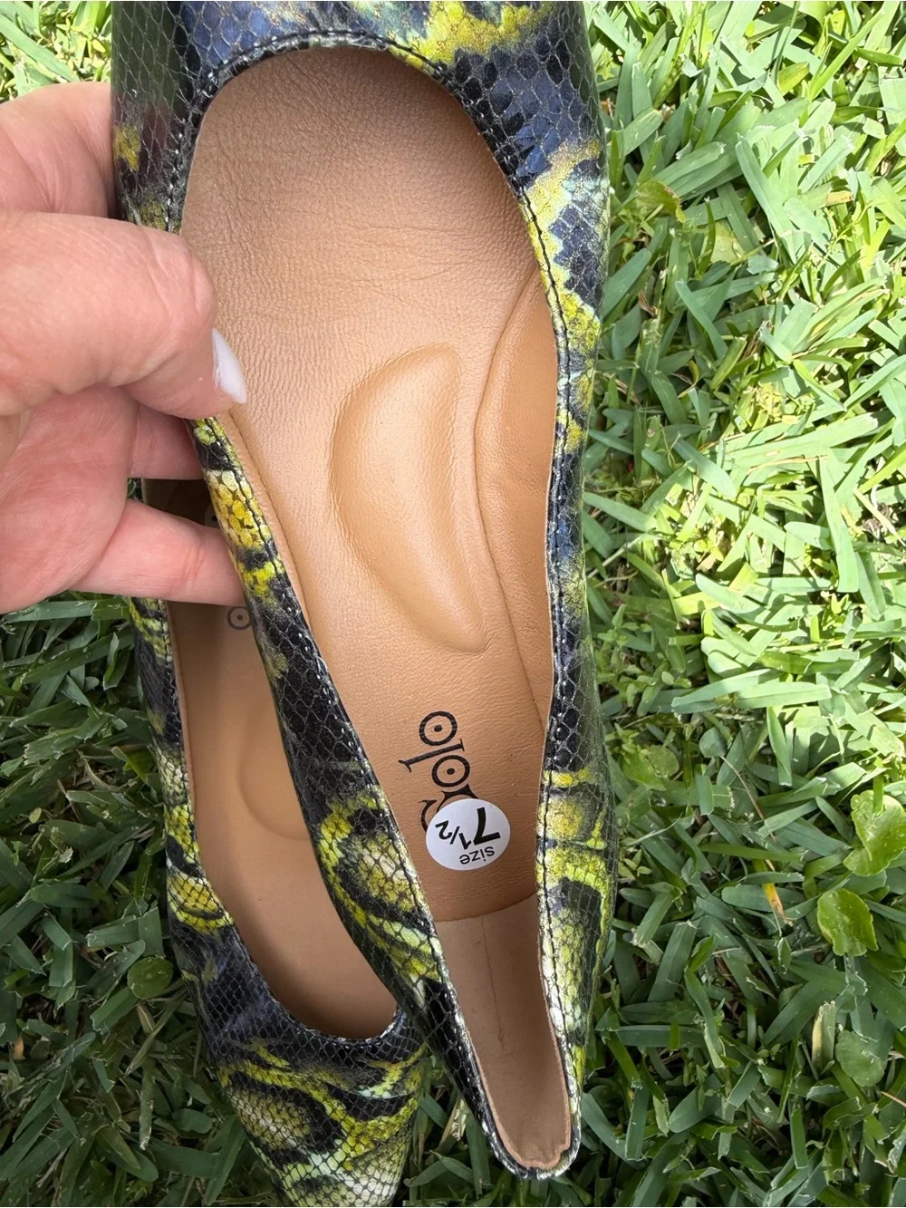 Golo step out
